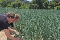 Safra Garantida SC reforça a proteção das lavouras em Santa Catarina