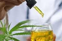 Anvisa aprova novas regras para uso de cannabis medicinal no Brasil