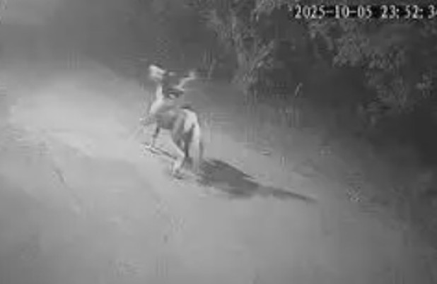 Caminhoneiro morto no Rio foi perseguido por homens a cavalo antes do crime