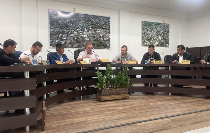 Vereadores cobram soluções para curva do Guareschi após tragédia