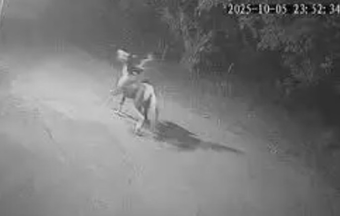 Caminhoneiro morto no Rio foi perseguido por homens a cavalo antes do crime