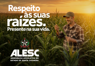 Separador Interna Esportes