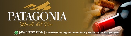 Publicidade Interna Abaixo Notícia (banner 1)