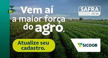 Separador Rodapé