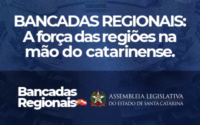 Separador TOPO  Interna Noticias