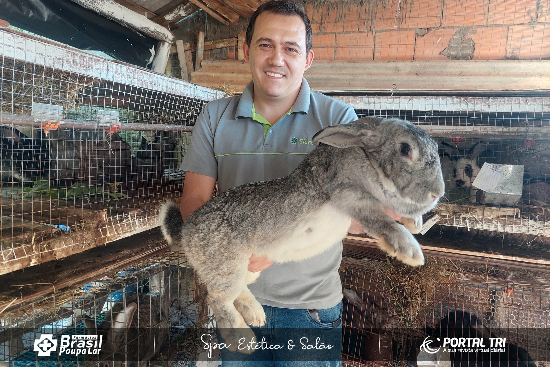 Cunicultura Conhe a A Cria o De Mini E Coelhos Gigantes