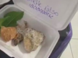 Lanchonete revida golpe de PIX falso com lanche ‘X-Pedra’ e golpista responde: ‘Maravilhoso’