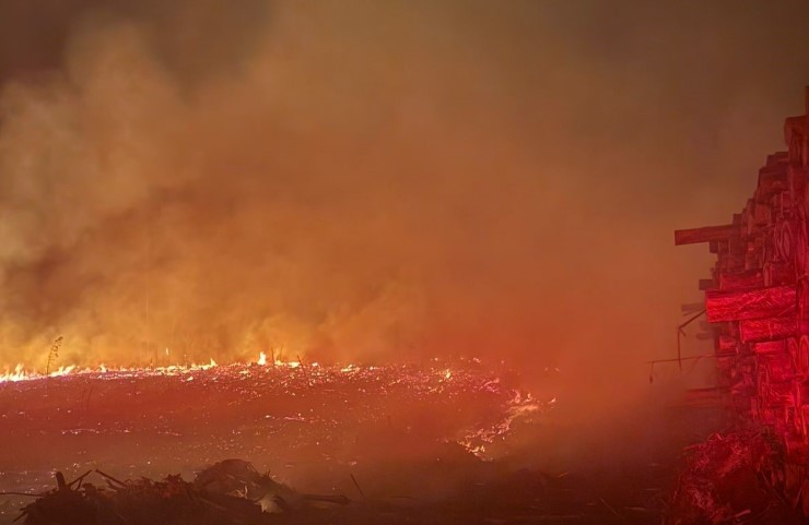 Incêndio em reflorestamento de eucalipto causa prejuízo de R$ 8 mil