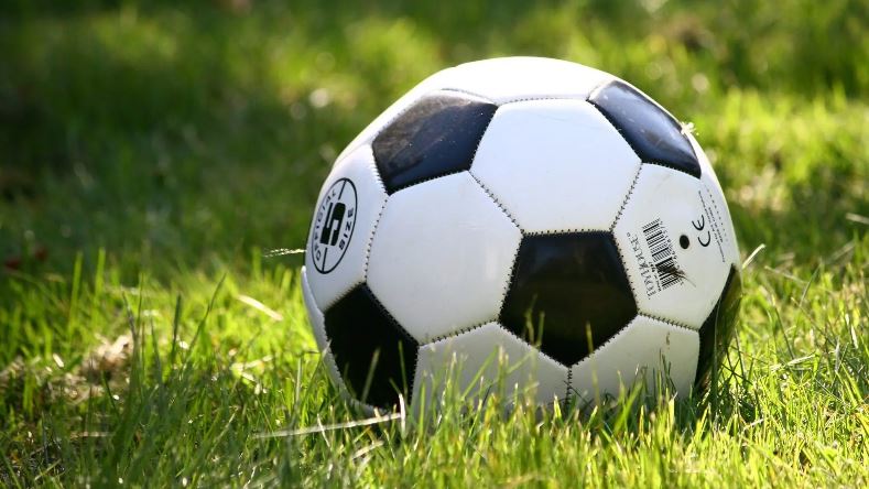 Apostador oferece R$ 10 mil para goleiro levar dois gols contra Avaí na Copinha
