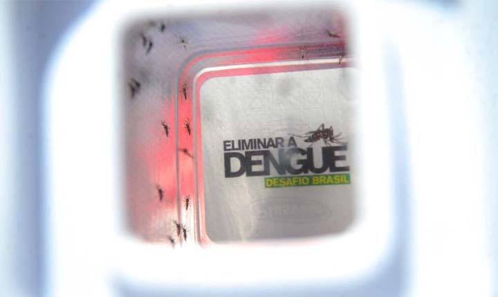 Primeiro boletim da dengue do ano aponta 198 municípios do Paraná com casos confirmados