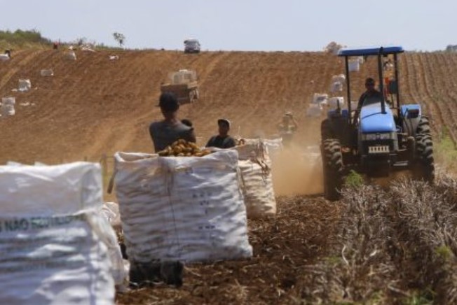 Dois Vizinhos e Palmas lideram a geração de emprego formal no sudoeste em janeiro