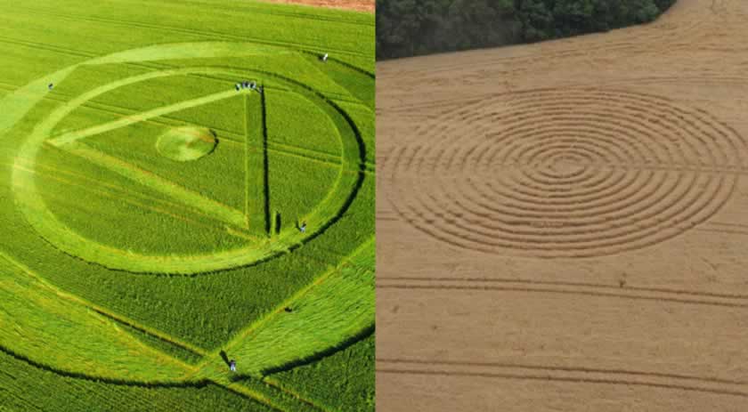 Proprietário de terra que registrou agroglifo conta que esta é a segunda vez que desenhos surgem na plantação