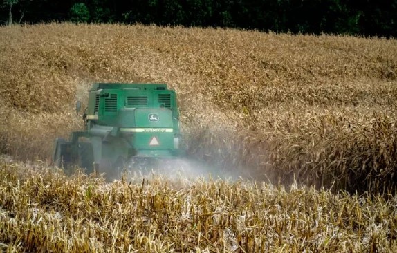 SC é responsável por cerca de R$ 46 milhões do valor bruto da produção agropecuária do Brasil