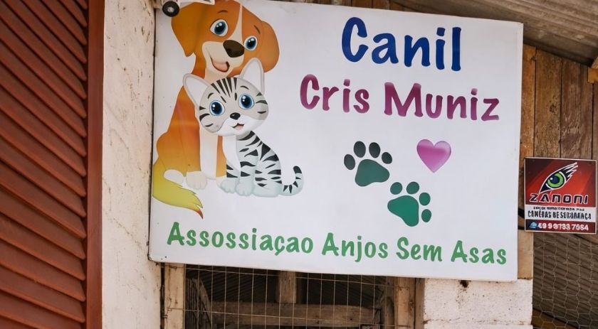 ONG Anjos Sem Asas recebe R$ 100 mil para castração de animais