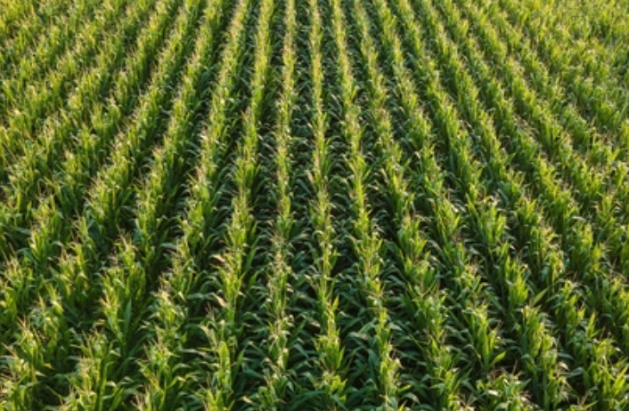 Agropecuária brasileira deve faturar R$ 1,4 trilhão em 2026