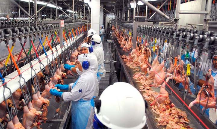 Exportações de frango brasileiro batem recorde em 2022