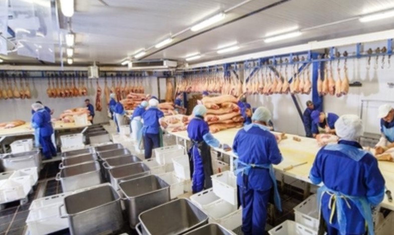 Trabalhadora de frigorífico será indenizada por sofrer humilhações e ter alimentos jogados durante expediente