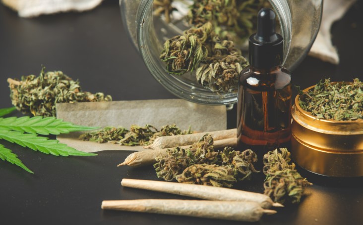 Maconha pode aumentar risco de morte por infarto e derrame, afirma estudo