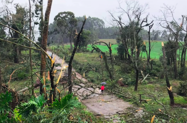 Meteorologista confirma ocorrência de tornado entre Nonoai e Erval Grande