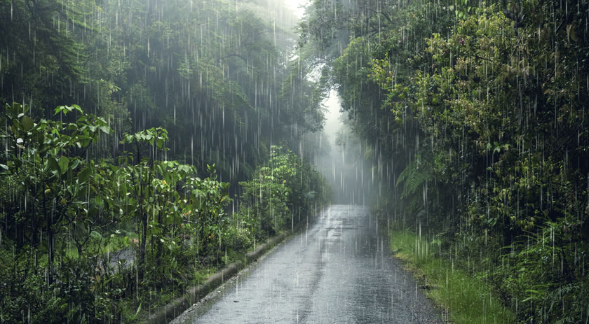 Defesa Civil alerta: Mudanças no tempo nos próximos dias em SC