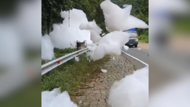 Bolhas gigantes de espuma invadem rodovia de Joinville dois dias após contaminação