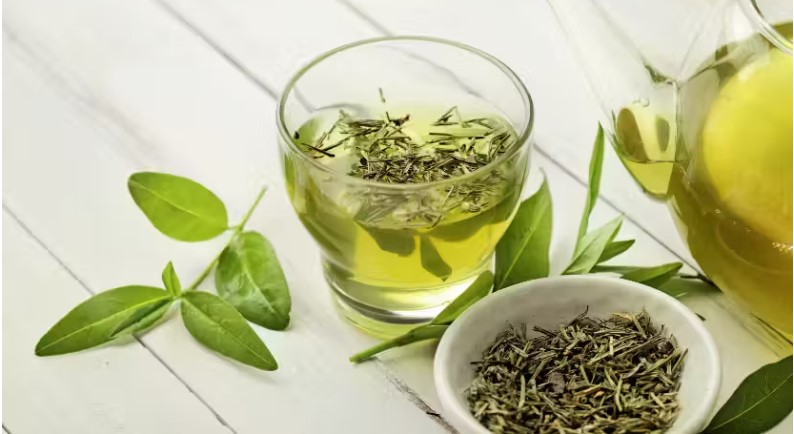 Chá verde ajuda a reduzir demência e melhorar saúde do fígado; pesquisa