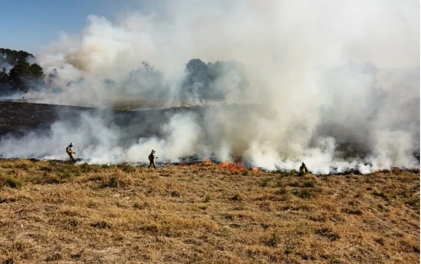 Atear fogo em lixo em terrenos baldios responde por mais de 30% dos incêndios