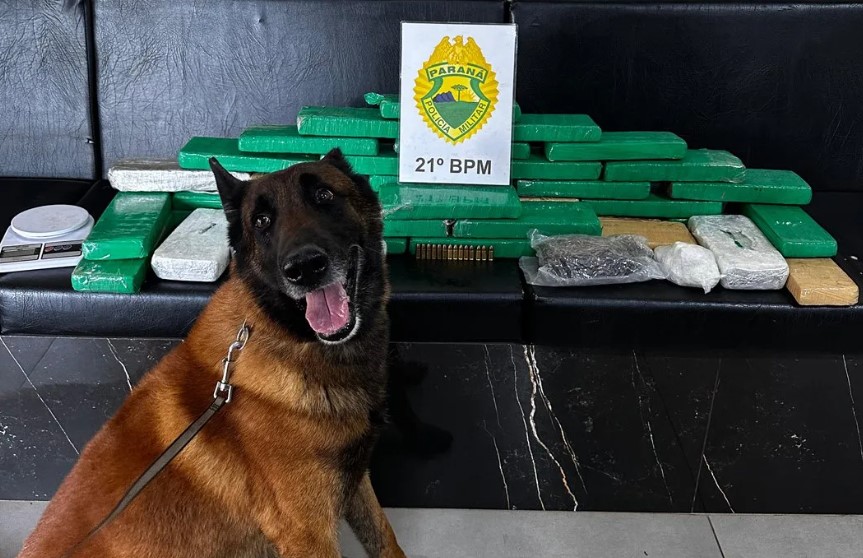 Após troca de informações com a Receita Federal, PM apreende grande quantidade de drogas