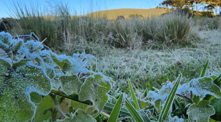Estado pode registrar geada após chegada de massa de ar frio