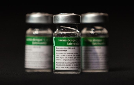 Vacina brasileira contra dengue deve receber aval da Anvisa ainda este ano