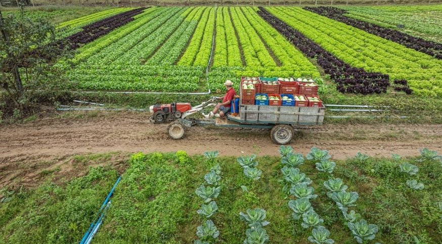 SC amplia limite mensal de créditos de ICMS para produtores rurais