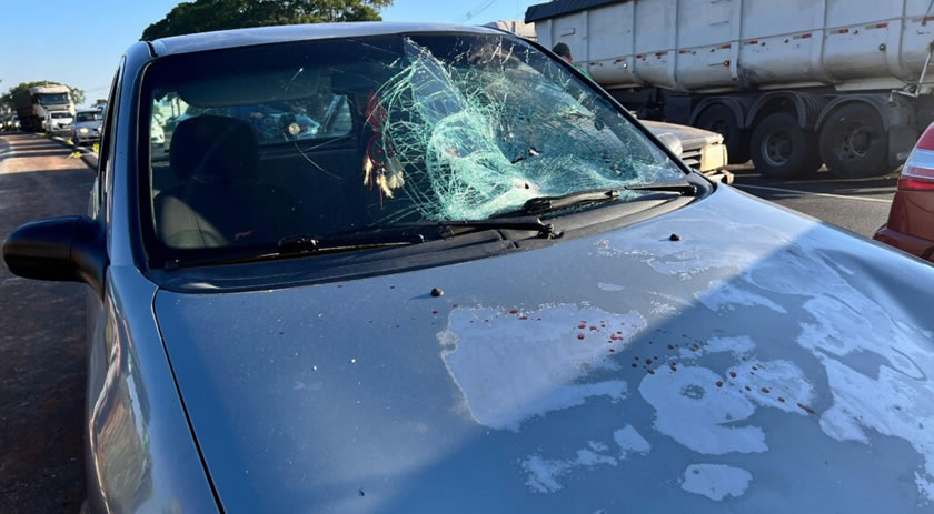 Homem é atropelado na BR-282