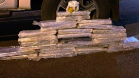 Mãe com filho de 4 meses é presa com 23 kg de maconha em ônibus abordado no Oeste
