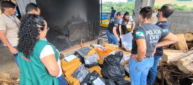 Polícia Civil incinera mais de 400 quilos de drogas