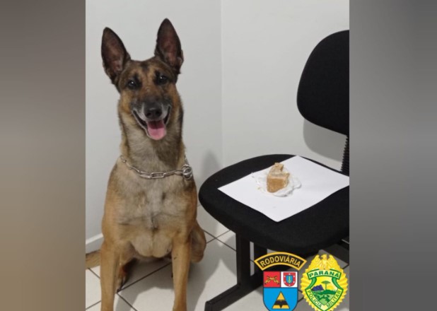 Polícia Rodoviária apreende crack e prende traficantes na PRC-280