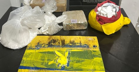 Polícia Civil deflagra Operação Carga Oculta contra grupo que enviava drogas a SC