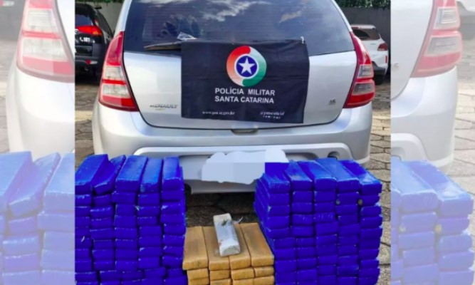 Apreensões de drogas disparam em SC: crack cresce 2.820% e skunk entra nas estatísticas em 2025