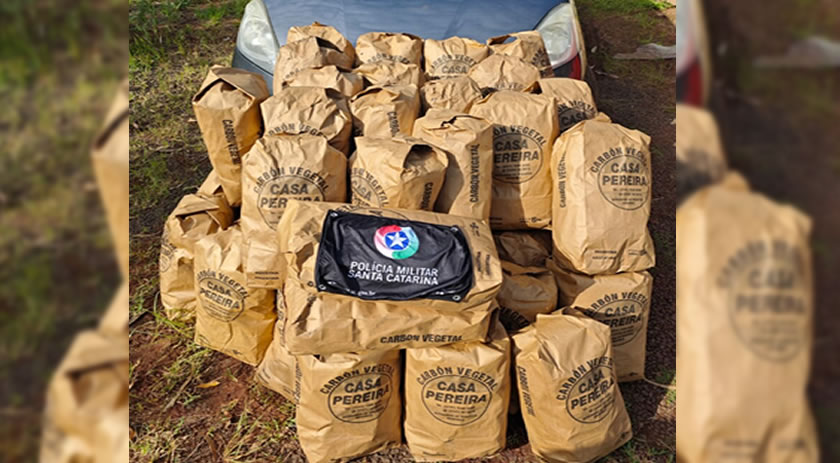 Mulher é flagrada com sacos de carvão da Argentina no Oeste de SC