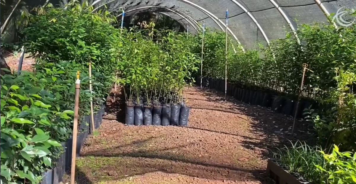 Semana do Meio Ambiente: Educação e sustentabilidade em ação