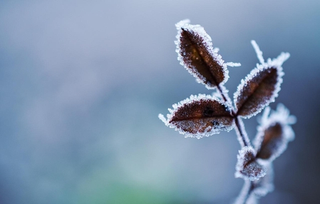 Massa de ar frio derruba temperaturas a partir desta segunda-feira em SC