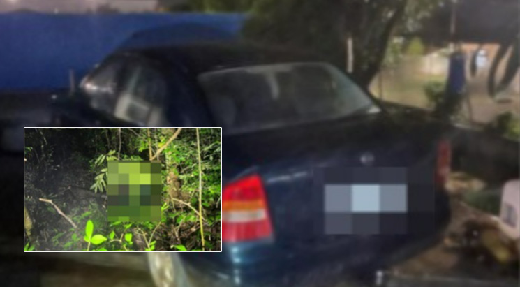 Mulher de 54 anos é morta e tem corpo ocultado em área de mata no Oeste de SC