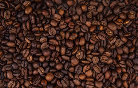 Safra de café do Brasil deve alcançar 55,67 milhões de sacas em 2025