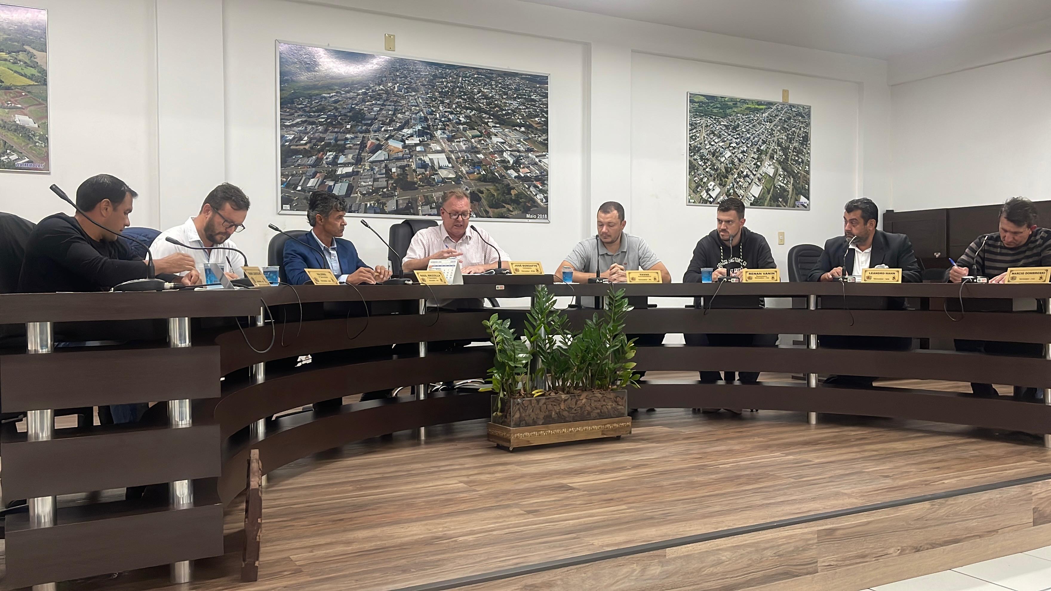 Vereadores cobram soluções para curva do Guareschi após tragédia