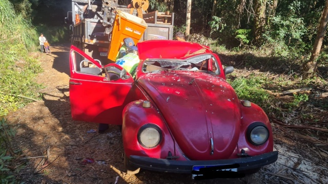 Árvore cai sobre fusca durante corte e três pessoas são socorridas pelo Corpo de Bombeiros