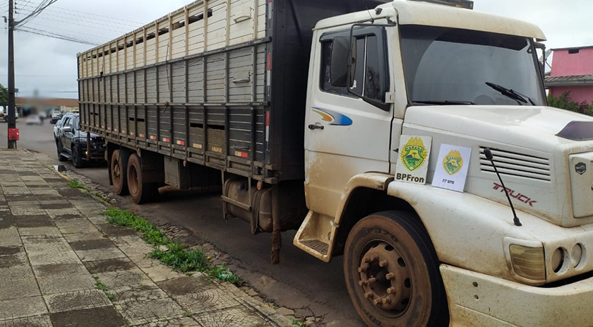 Caminhão carregado com gado é apreendido pela PM