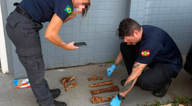 Ossada encontrada em Pinhalzinho não era humana, esclarece Polícia Civil