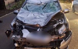Carro colide com cavalo e deixa casal ferido na SC-283