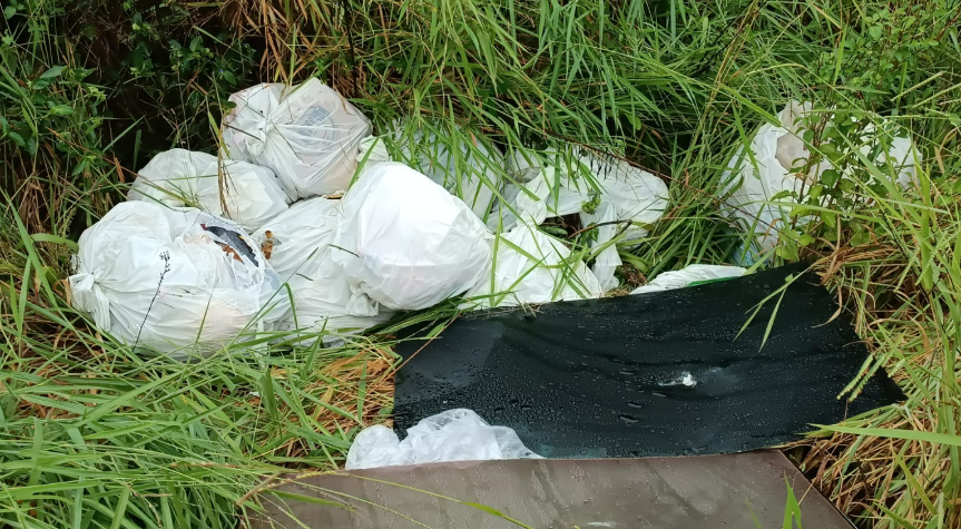 Descarte irregular de lixo no interior acende alerta para preservação ambiental