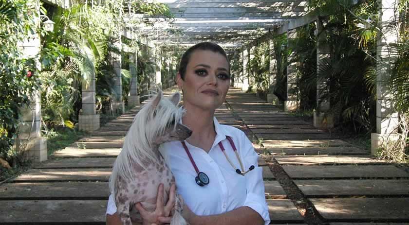 Importância do diagnóstico precoce e tratamento dos problemas ou doenças dos pets