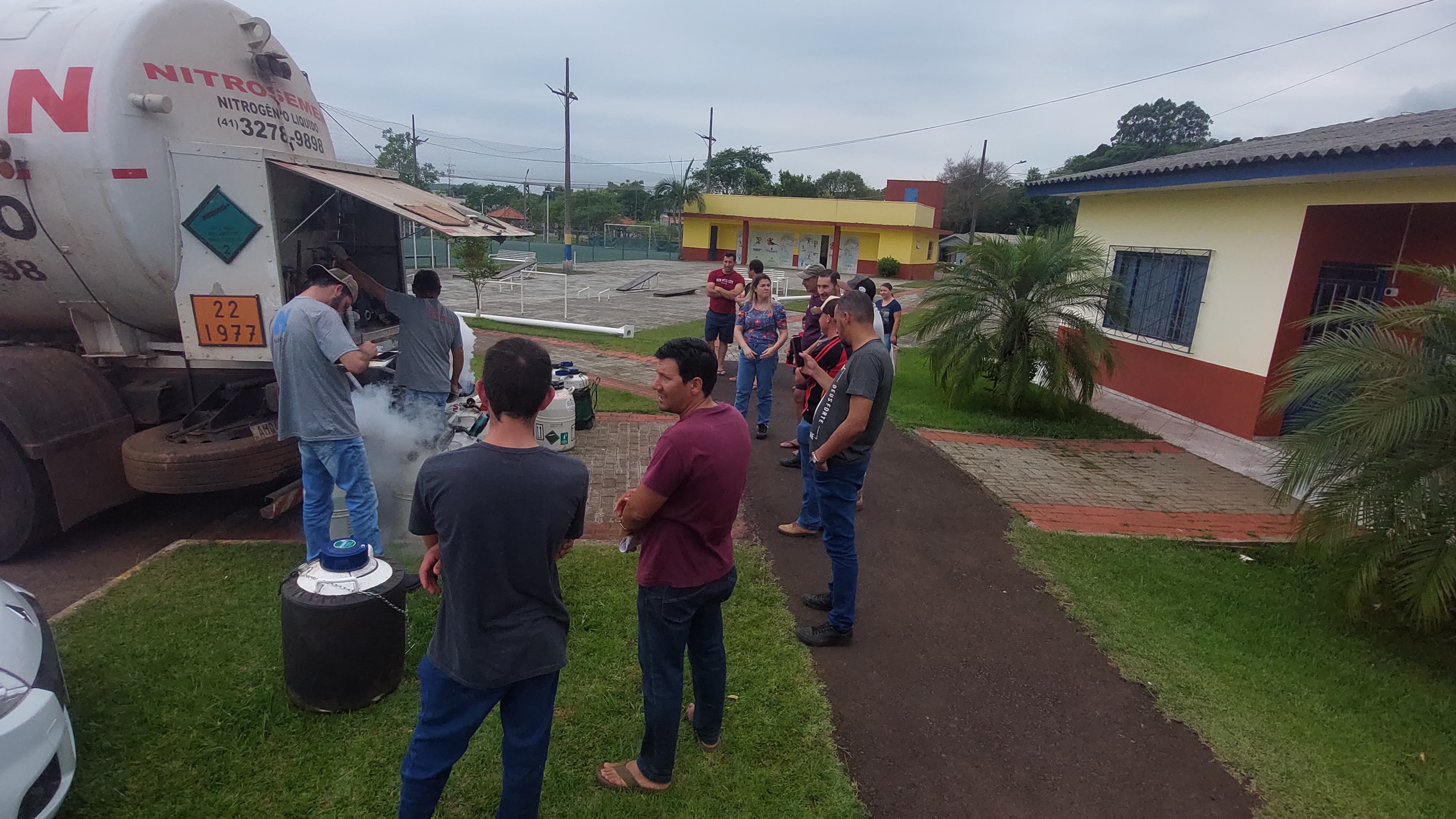 Programa de inseminação artificial impulsiona melhoramento genético do rebanho leiteiro no município